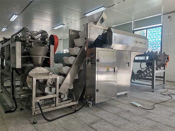 米线湿粉条包装机，鲜湿粉专用