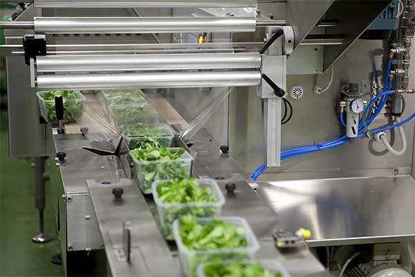 瓜果蔬菜全自动脱水蔬菜包装机